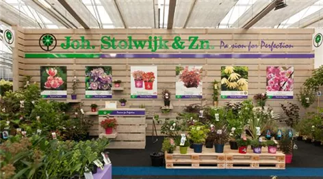 Plantarium 2016_Joh. Stolwijk-9894.jpg